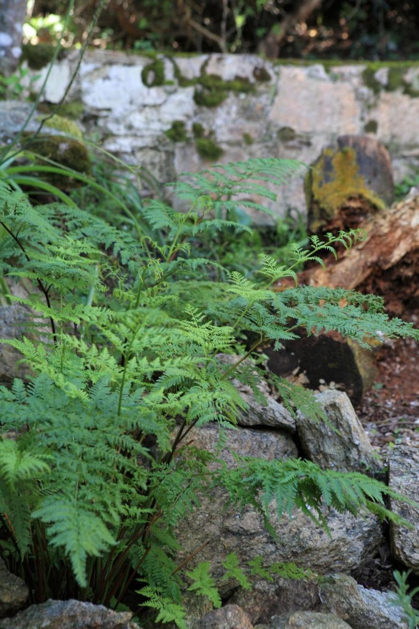 Livingstone Villa Wildernis Dış mekan fotoğraf